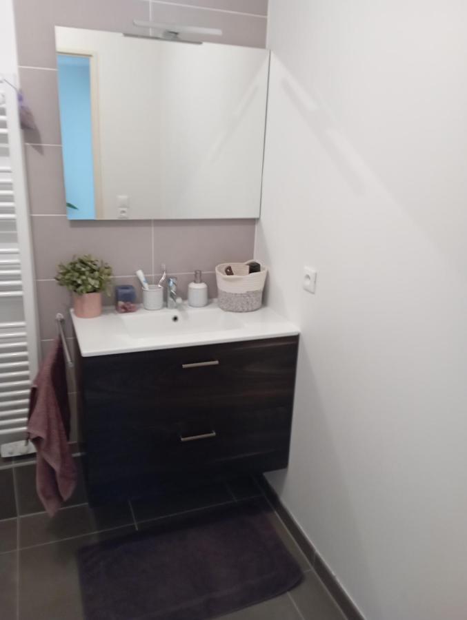 שטרסבורג Chambre Nature Chez L'Habitant מראה חיצוני תמונה