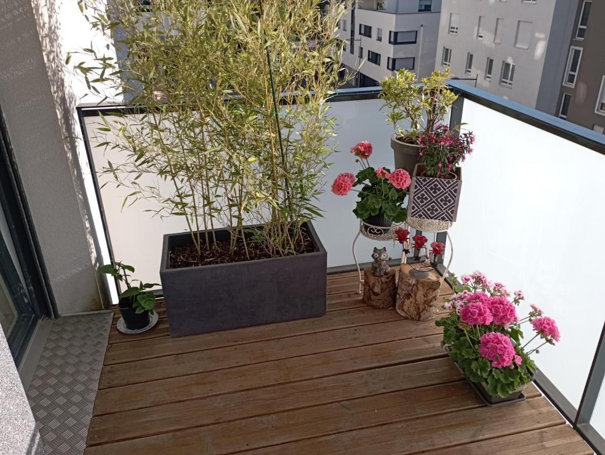 שטרסבורג Chambre Nature Chez L'Habitant מראה חיצוני תמונה